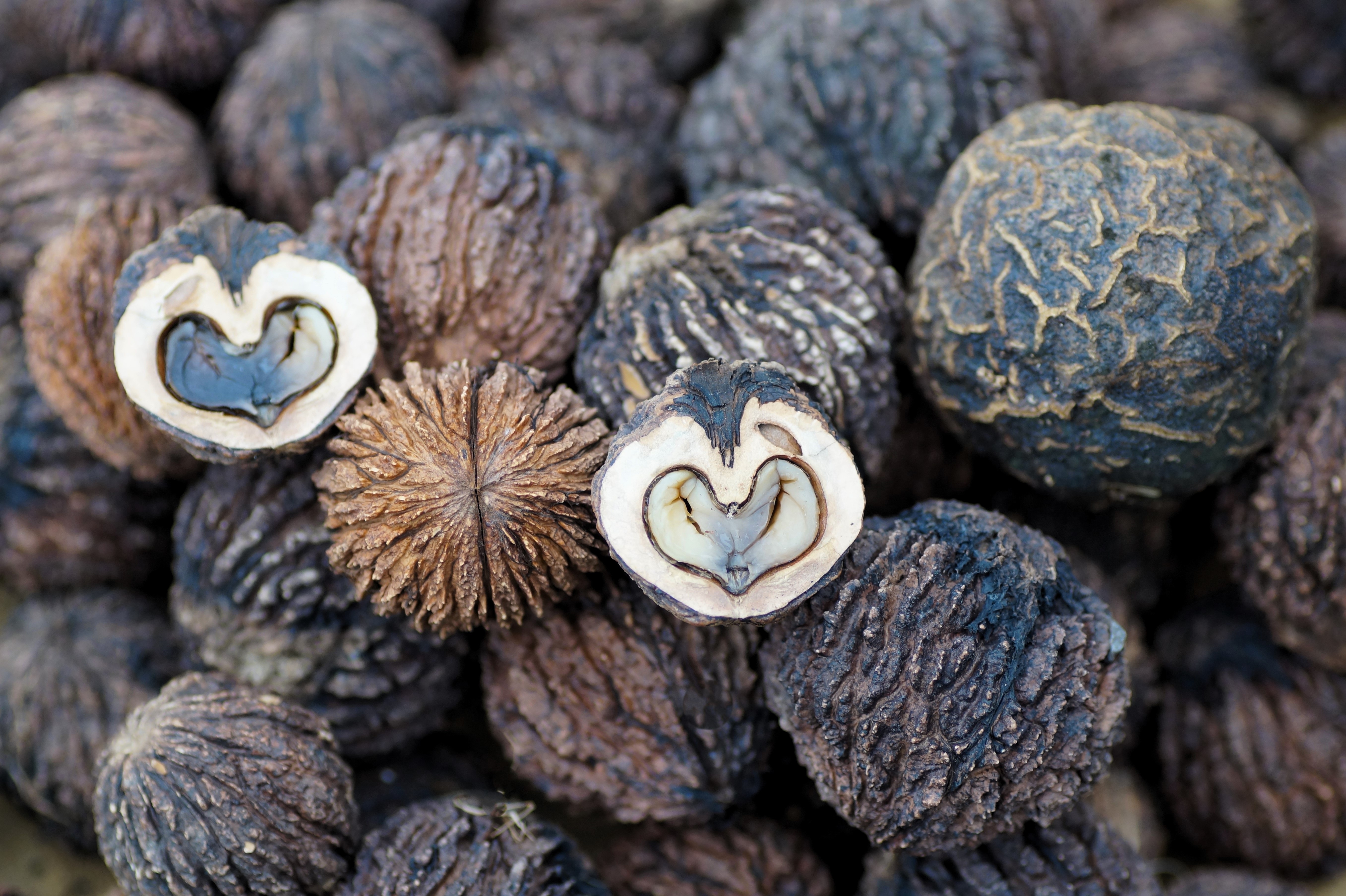 Black Walnuts